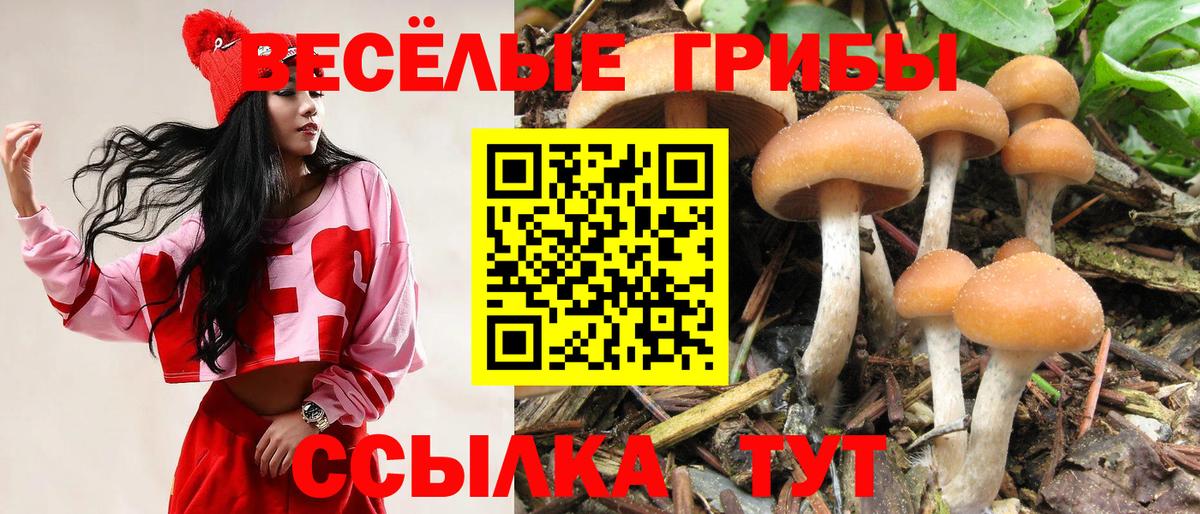 Кыштым  Галлюциногенные грибы ЛСД  Вход с VPN 