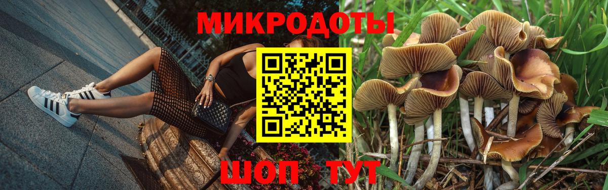 Галлюциногенные грибы Psilocybine cubensis Кыштым