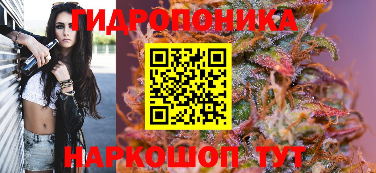 Каннабис индика Кыштым